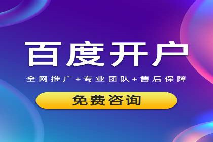 行业领先的SEM投放效果案例解析